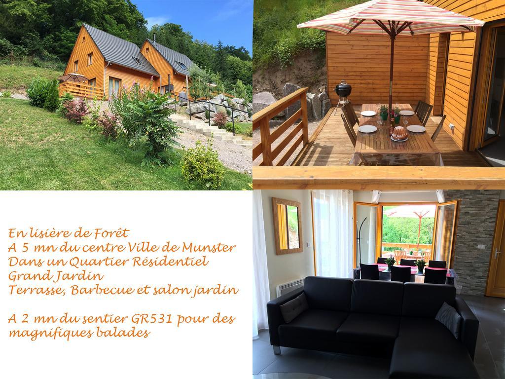 Le Chalet La Cigogne Et Le Chamois Munster  Exterior photo